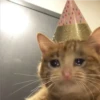 Michis Llorando #2 30