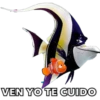 VEN YO TE CUIDO