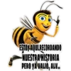 BEE MOVIE 25