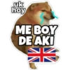 PERRO MUSCULOSO 🇦🇷 17