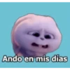 Ando en mis días