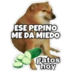 PERRO MUSCULOSO 🇦🇷 18
