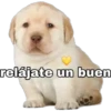 relájate un buen
