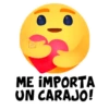 Me Importa Frases 19