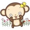 MONITO 6