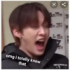 stray kids are dumb 2 5