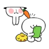 Spoiled Rabbit You-2 6