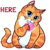 Meme Cats 1 5