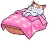 Meme Cats 1 11