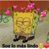 Sos lo más lindo