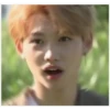 stray kids are dumb 2 11