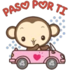 PASO POR TI