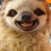 Crazy Animals 9