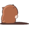 Linda Nutria 7