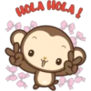 HOLA HOLA !