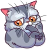 Meme Cats 1 17