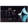Aquamarine 16