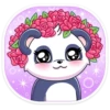 Panda Tori 16