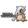 Vamo A (Pokemon) 13