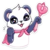 Panda Tori 17