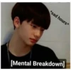 stray kids are dumb 2 20