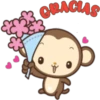 COACIAS