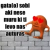 gata(o) sobi
aki nese
muru ki ti
levo nas
auturas