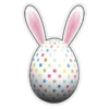 Happy easter rabbit 23
