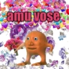 amu vose
GE