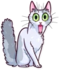 Meme Cats 1 25