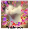 Te quierooo0