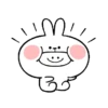 Spoiled Rabbit You-2 27