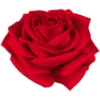 Love in white, black and red 27