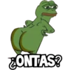 Ranita 26