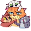 Meme Cats 1 29