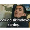 çok da sikimdeydi
kardeş.