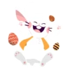 C
•