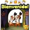 Chip, Dale y Donald ️ 27
