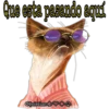 Variedad de stickers 6