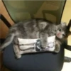 Abraza almohada
