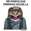 Me parece que... 6