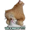 michis 🐱 (👑 @emil_rey_ ) 9