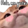 Hola, me gustas
|||
|||