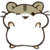 ️Hamsterlove 12