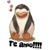Te amo!!!!