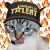 TALENT
IDE S.8N8OININOD