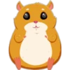 ️Hamsterlove 13