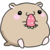 ️Hamsterlove 14