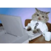 Agotado en oficina