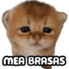MEA BRASAS